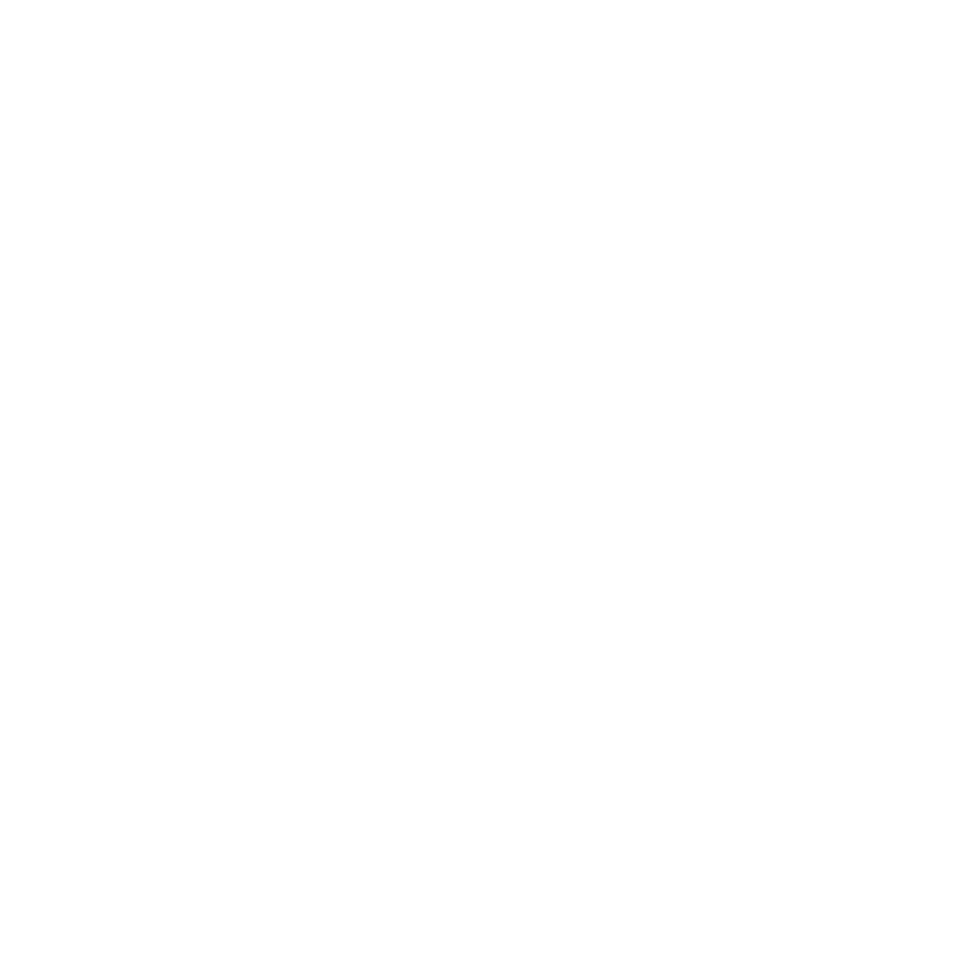 Paytr Logo